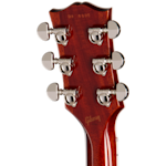 RAM025968 DS0290 8lbs3oz 6 BackHeadstock