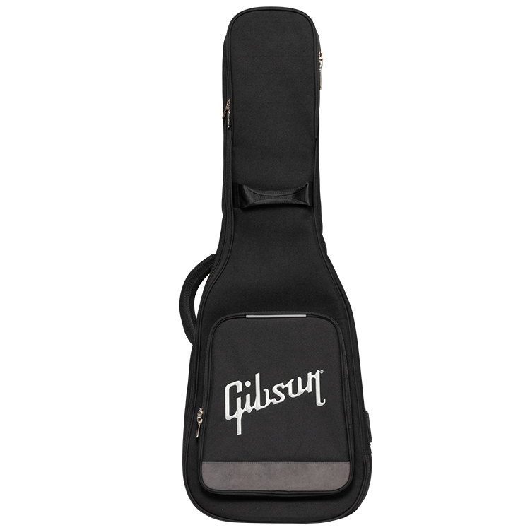 Eastwood Premium Case - Standard Guitar – Eastwood Guitars
