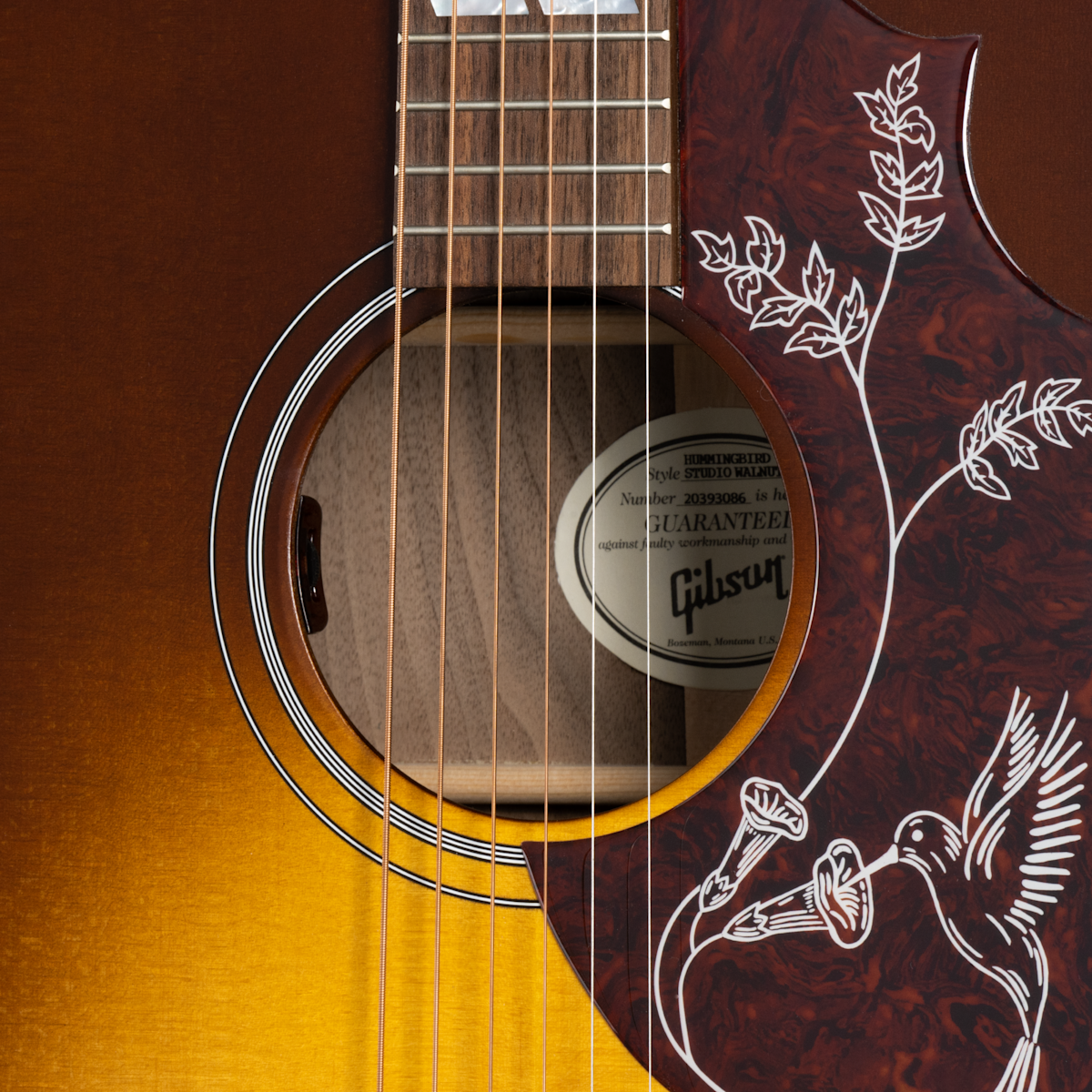 MCSSHSWSWB soundhole