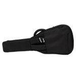 ASPGIG-LG_back.png