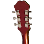 GCVP0129 6 BackHeadstock