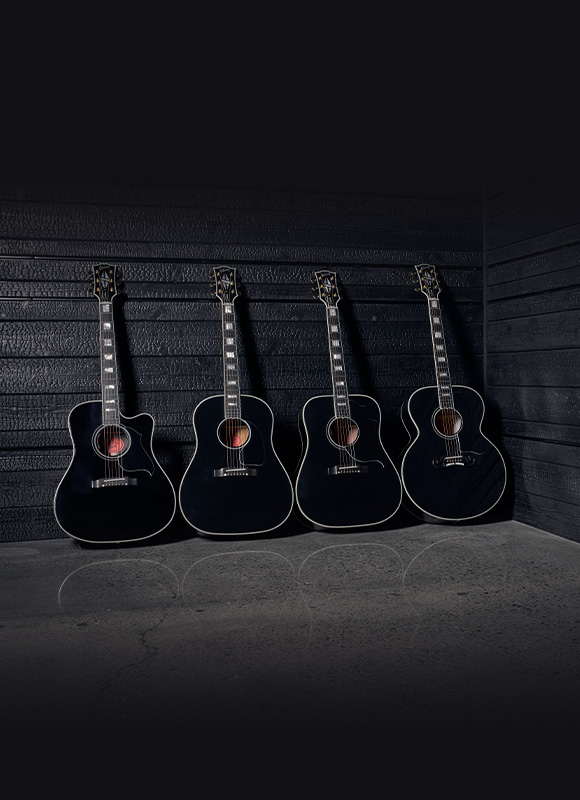 image EBONY ACOUSTICS