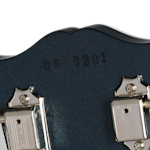 RAM026157 DS0301 9lbs13oz SNLabel