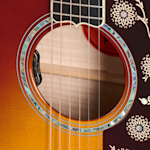 DTCJB25WB soundhole