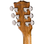 LPS6P25DLNH3 6 BackHeadstock