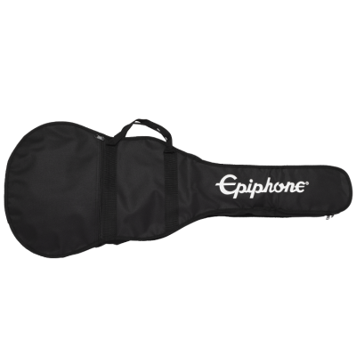 Cases | Epiphone