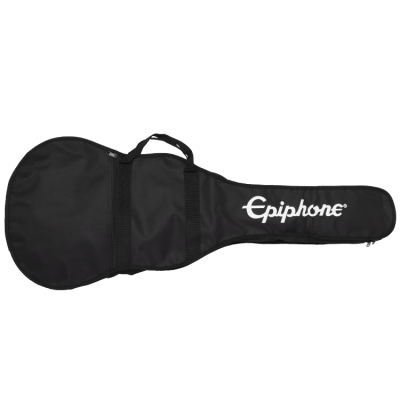 Epiphone deals lp case