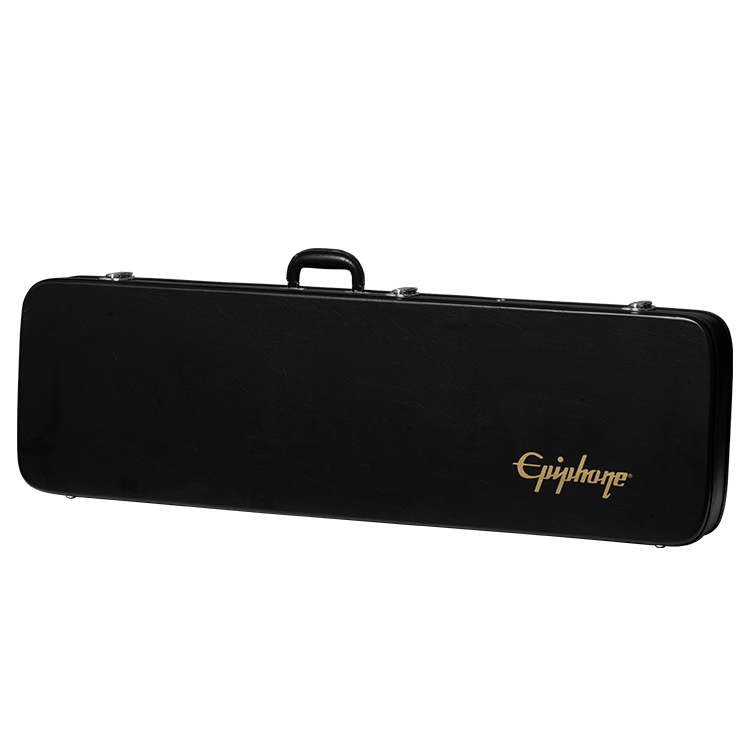 Epiphone firebird deals guitar case