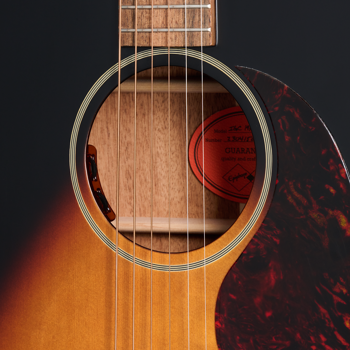 ECJ4542VSVNH1 soundhole