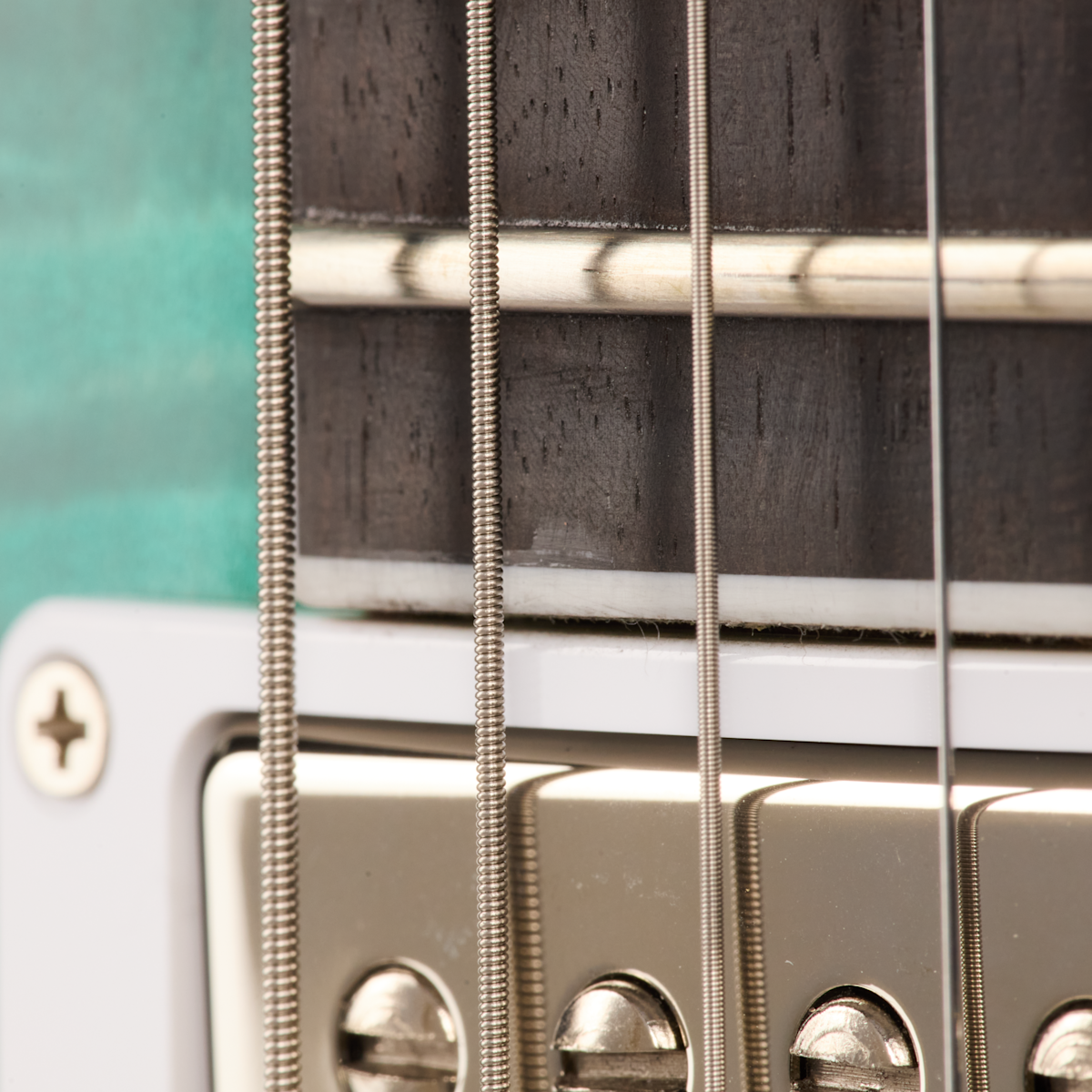 RAM025886 DS0283 8lbs2oz Fingerboard