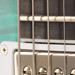 RAM025886 DS0283 8lbs2oz Fingerboard