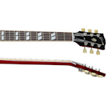 neck-side-500_500.png