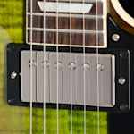 RAM026245 229840086 9lbs10oz Neckpickup