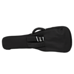 ASPGIG-LPSG_BACK.png