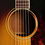GCVP0083 Soundhole