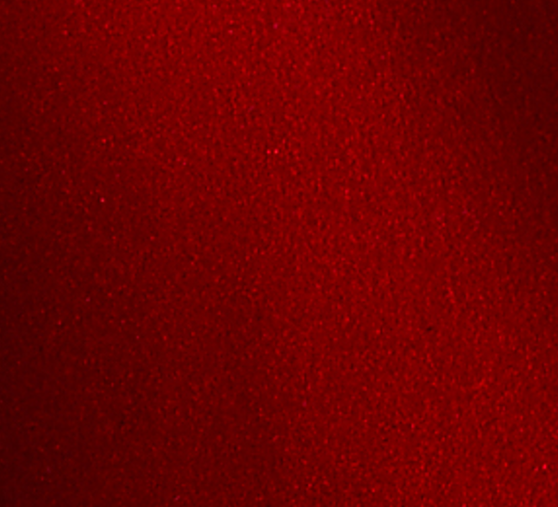Les Paul Axcess Custom, Vermillion Dollar Red | Gibson Mod™ Collection