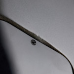 RAM024451-6