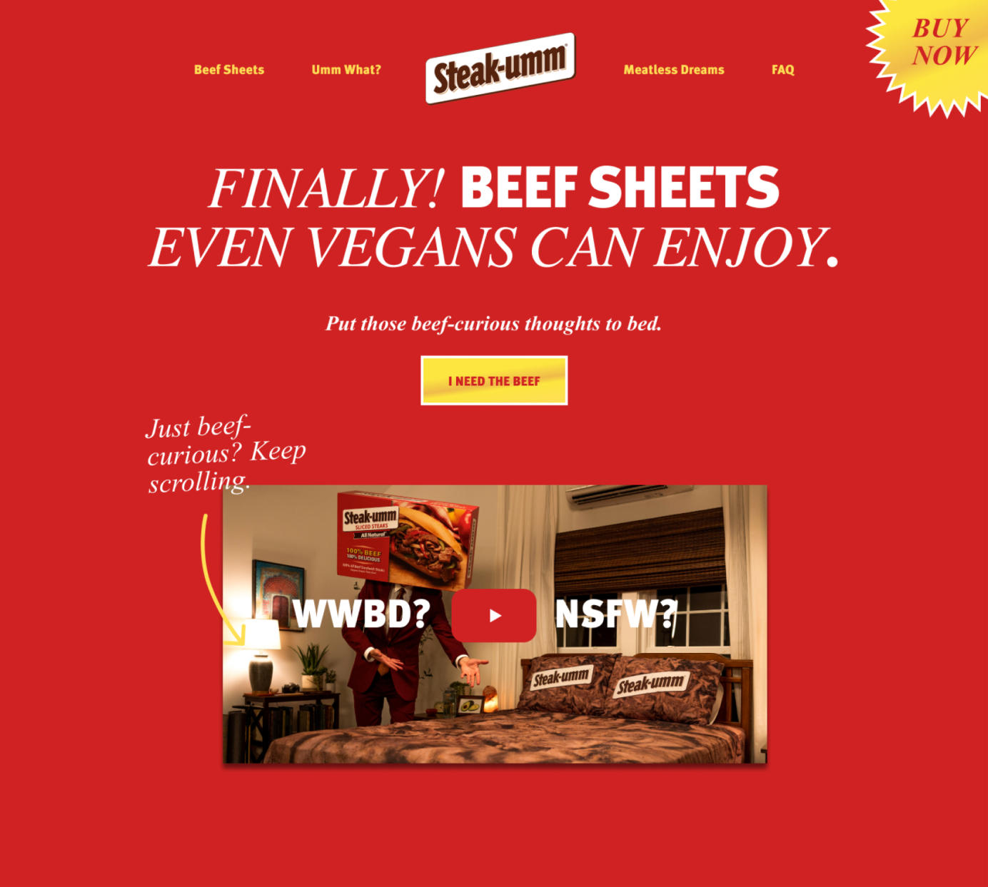 Homepage screenshot of Steak-Umm's Beef Sheets