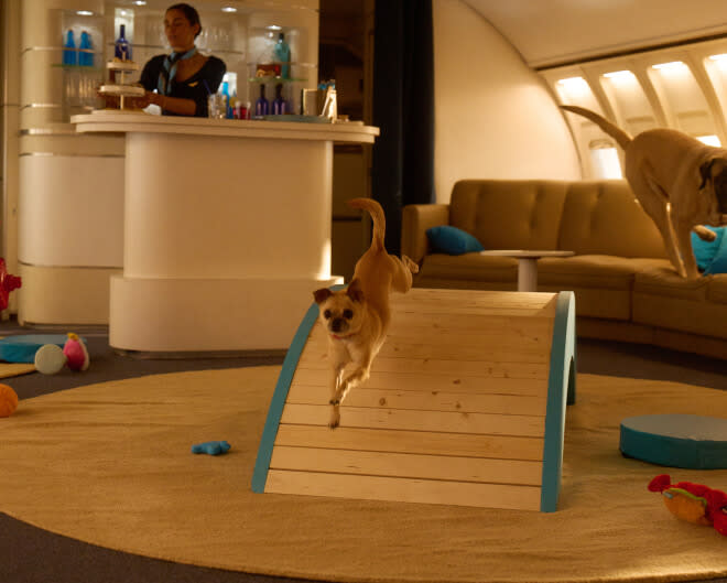 A small dog playing in the Bark Air play room while a flight attendant makes toilet water at the bar