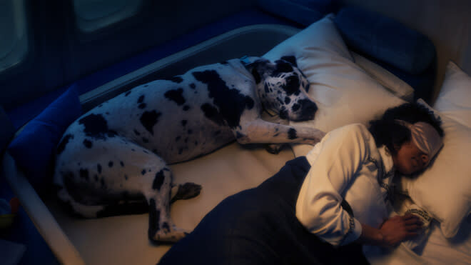 A dog and a flight attendant are asleep in a comfy bed