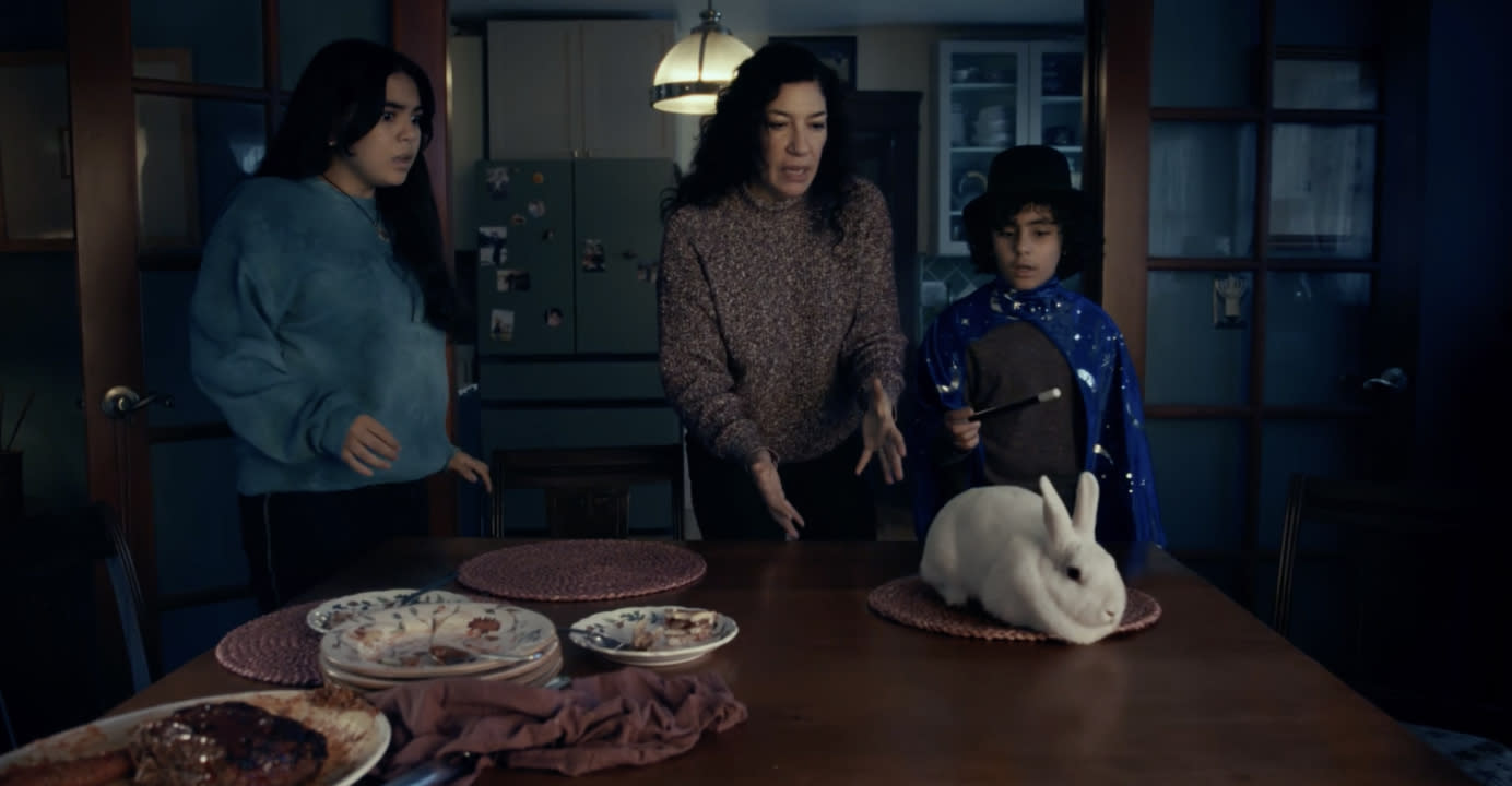 A woman, a female teenager, and a male child are all looking at a rabbit on their table