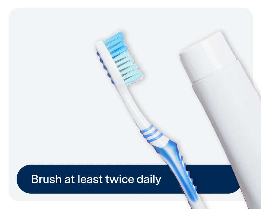 A blue and white toothbrush and a toothpaste tube are depicted with the text "Brush at least twice daily" on a dark blue banner at the bottom.