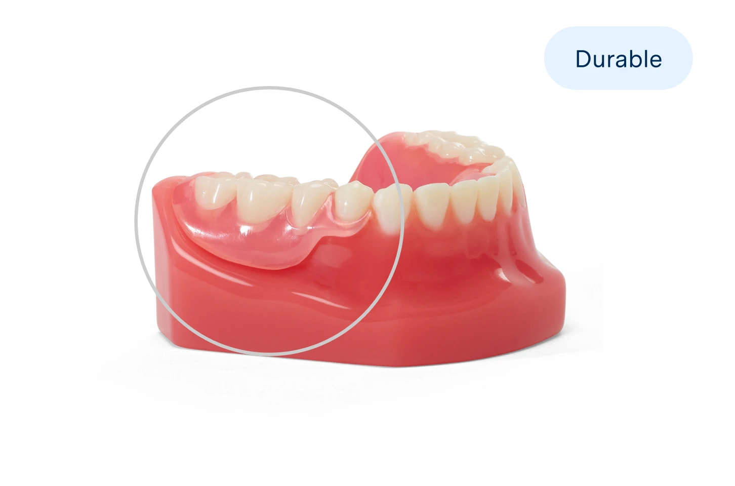 Partial dentures showcased on lower denture model with words 'Durable' on it, emphasizing denture options for tooth replacement.