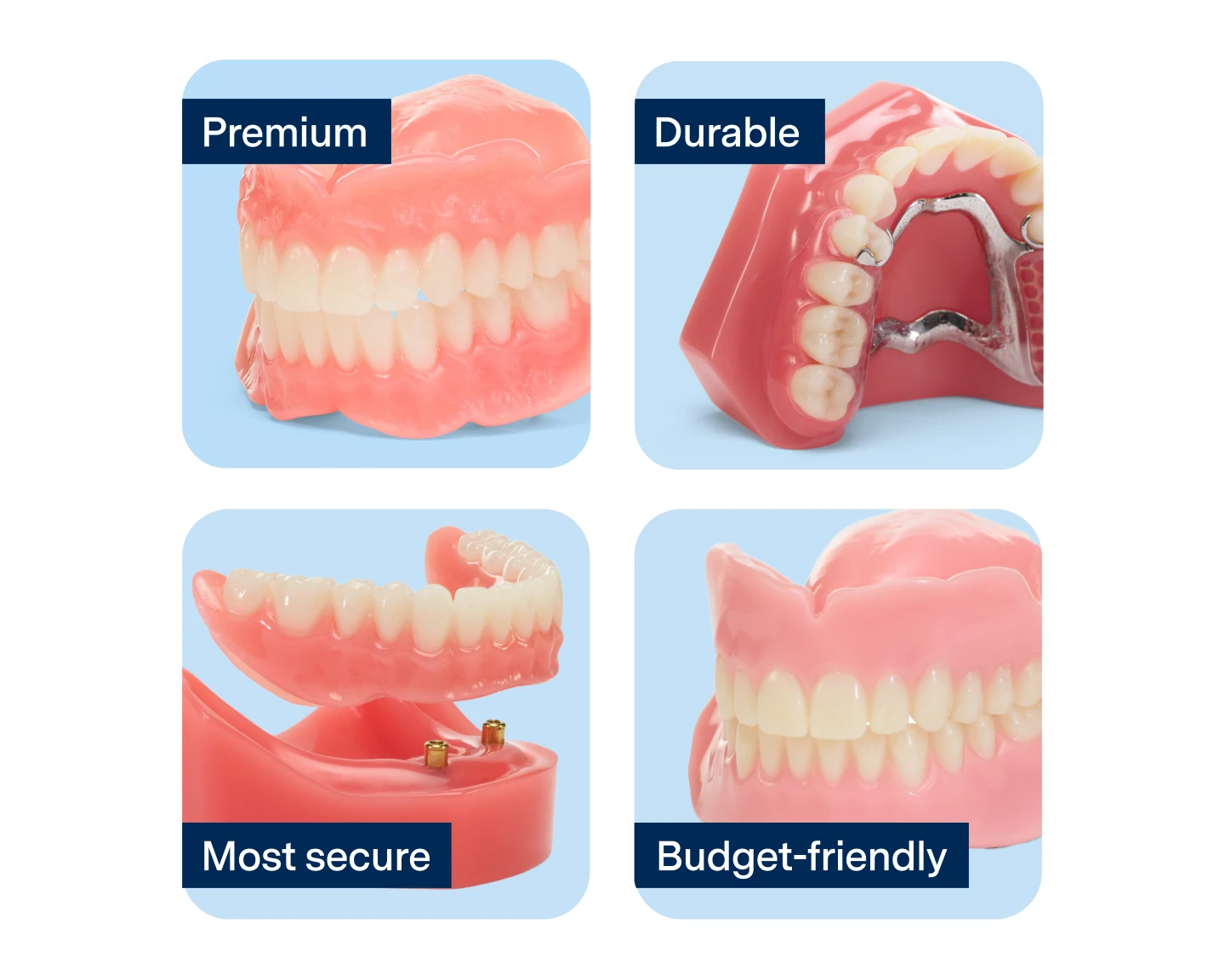 An infographic featuring four types of dentures with corresponding labels: 'Premium', 'Durable', 'Most secure', 'Budget-friendly'.