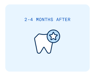A tooth icon with a star on it is displayed on a light blue background along with the words "2-4 months after" representing intermediate healing stage following a dental bone graft procedure.