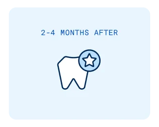 A tooth icon with a star on it is displayed on a light blue background along with the words "2-4 months after" representing intermediate healing stage following a dental bone graft procedure.