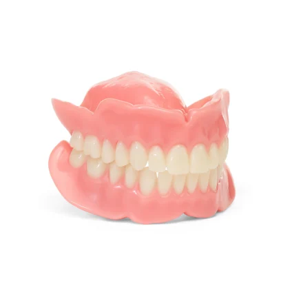 A model of Classic dentures, one of the essential dentures, on a white background.