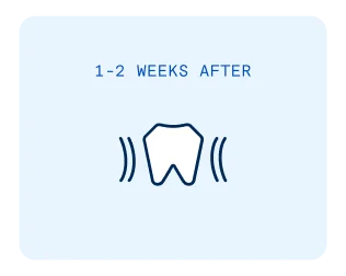 A tooth icon on a light blue background with the words "1 - 2 weeks after" representing early healing stage 1 - 2 weeks after getting a dental bone graft procedure.