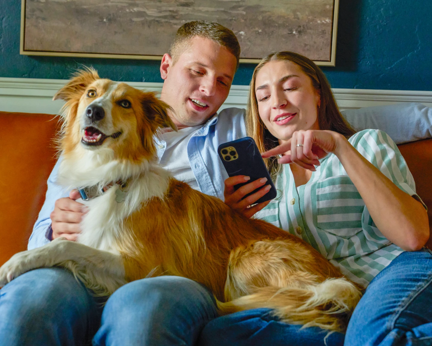 A couple sits on a couch with their orange and white dog in their lap while looking at a smartphone.