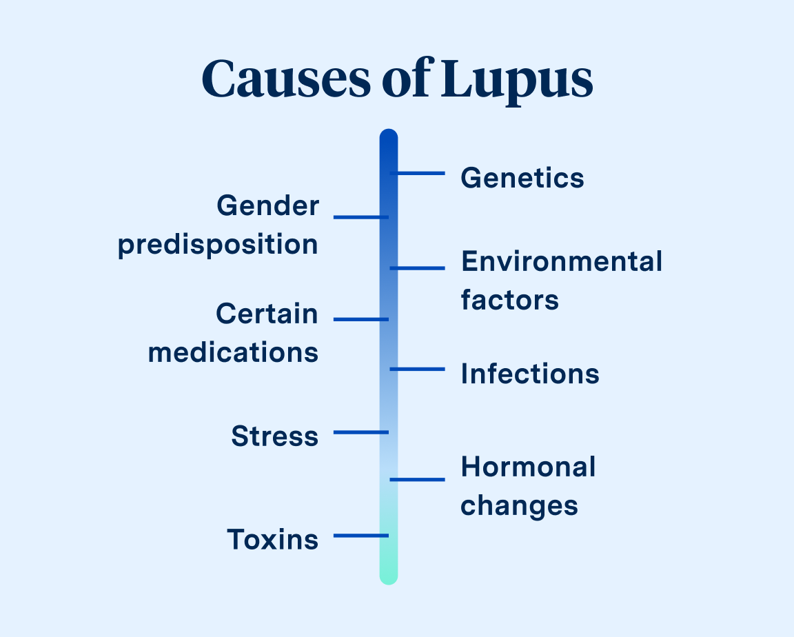 Graphic showing causes of Lupus, including genetics, environmental factors, infections, and hormonal changes on one axis, and gender predisposition, certain medications, stress, and toxins on the other in a vertical blue bar chart format.
