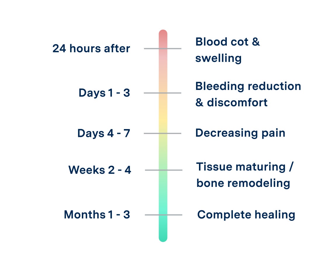 A timeline for healing after a surgical procedure, such as tooth extraction: 24 hours - blood clot and swelling; days 1-3 - bleeding reduction and discomfort; days 4-7 - decreasing pain; weeks 2-4 - tissue remodeling; months 1-3 - complete healing.