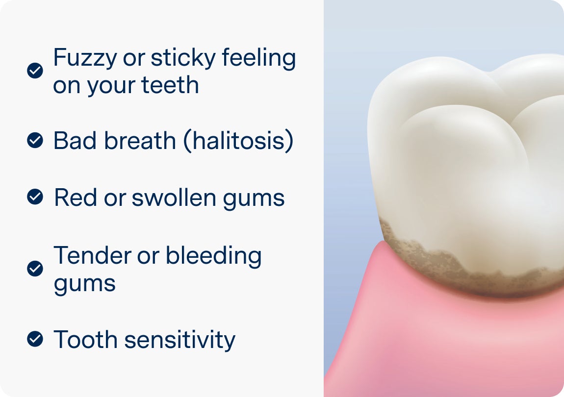 List of dental plaque symptoms including bad breath, tender gums, and tooth sensitivity, shown next to a model of a white molar tooth.