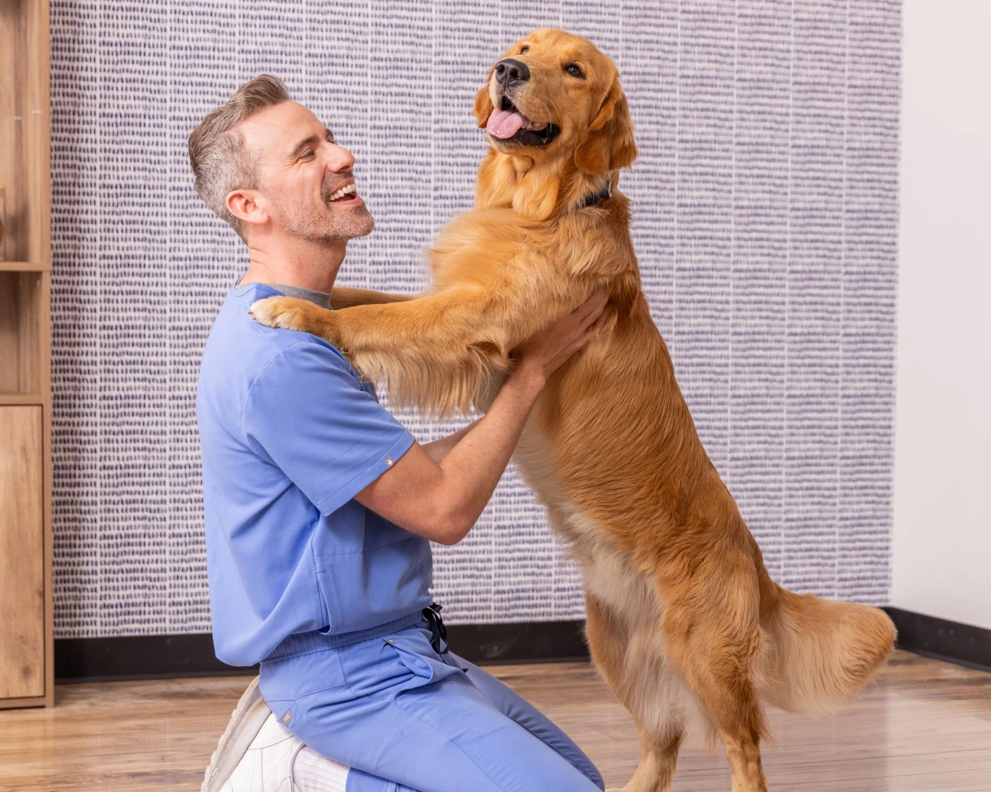 A veterinarian on his knees holding up a golden retriever after completing an examination at a Lovet Pet Health Care center.