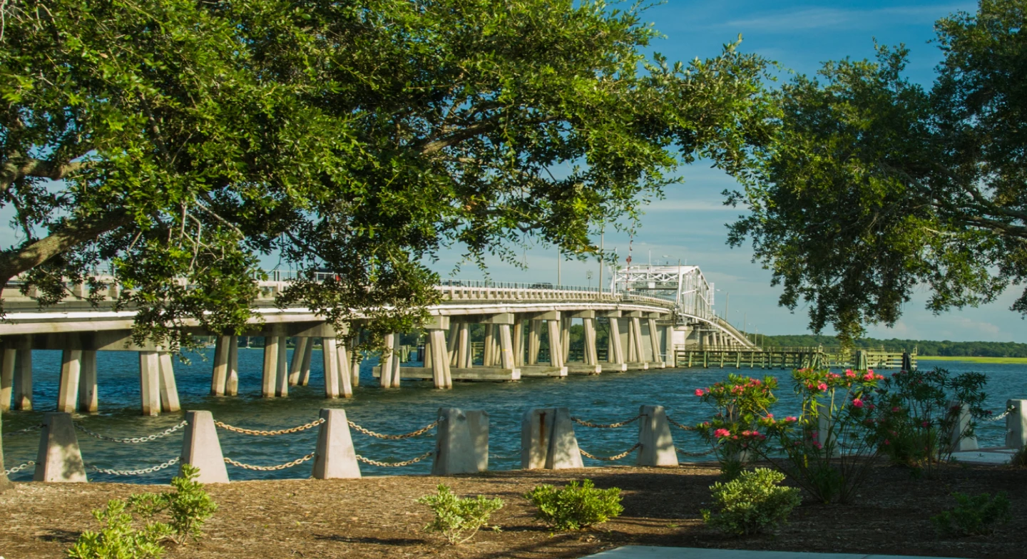 A bridge spans the Savannah river. 