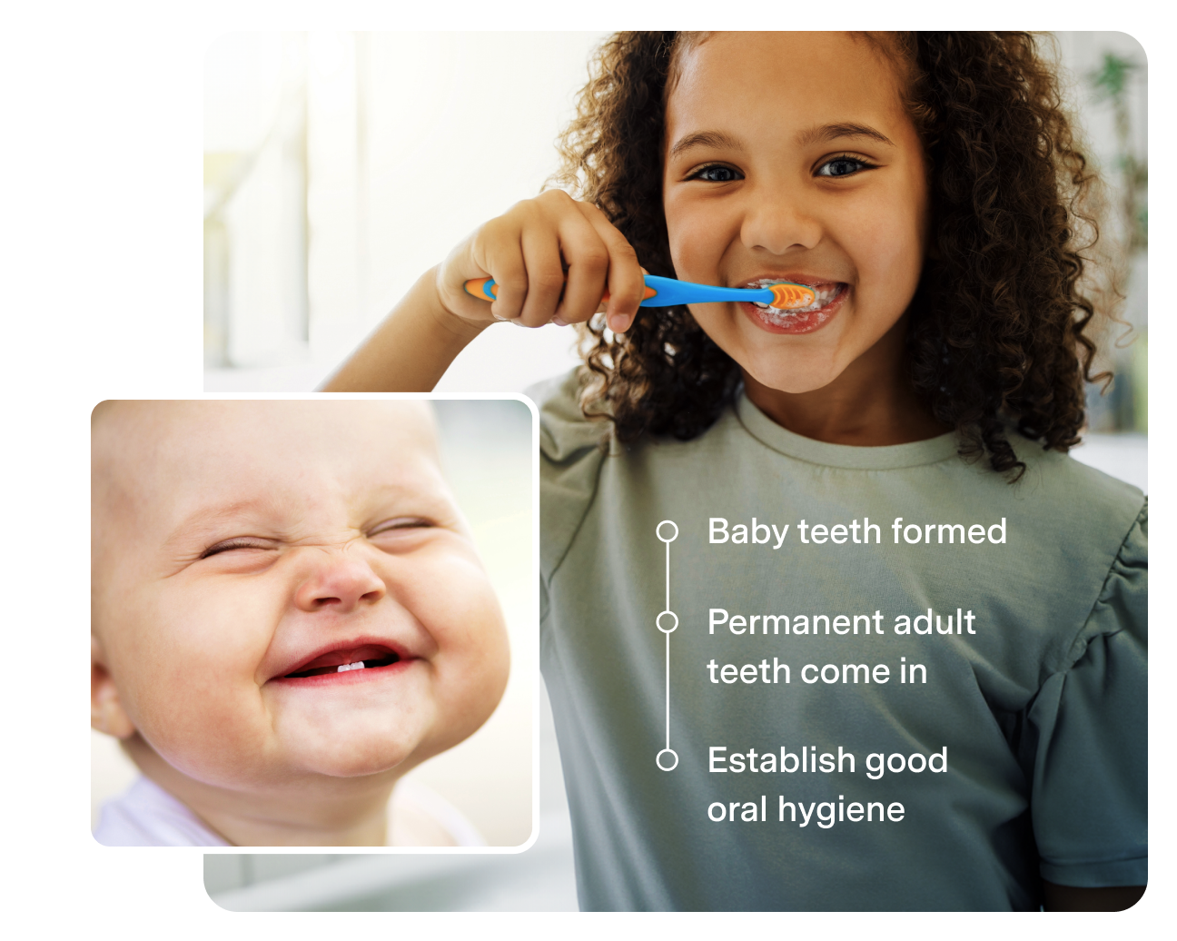 A young girl brushes her teeth with a blue toothbrush. Inset: a smiling baby showing small teeth. Text overlay: "Baby teeth formed, Permanent adult teeth come in, Establish good oral hygiene.