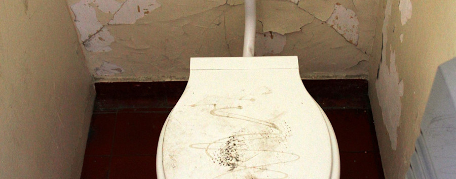 Verein startet Studie über Zustand von Berliner Schultoiletten