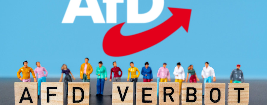 SPD in Berlin stimmt gegen AfD-Verbot: Eine kaum beachtete Ausschusssitzung bringt die Koalition in Aufruhr