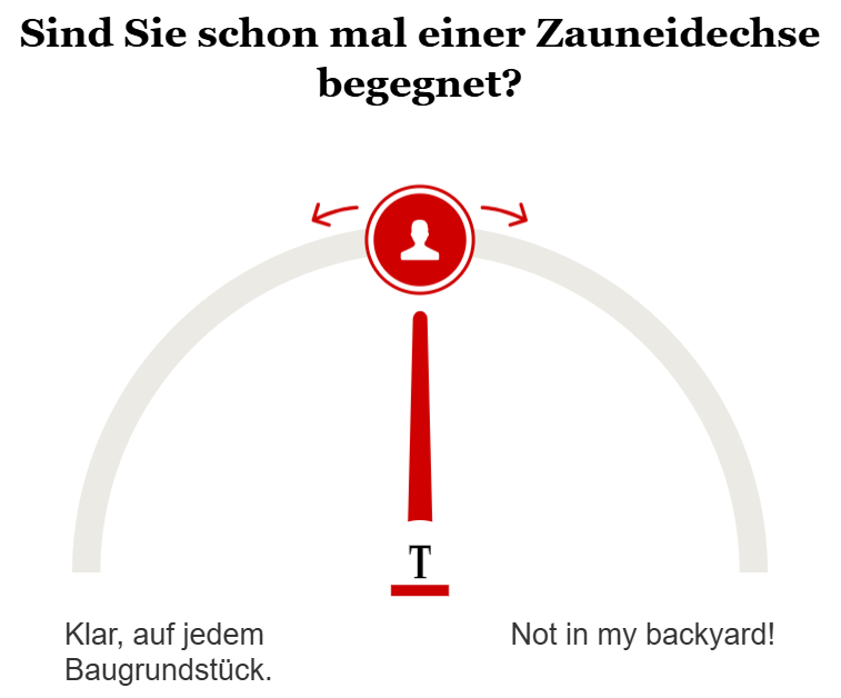 Opinary: Sind Sie schon mal einer Zauneidechse begegnet?