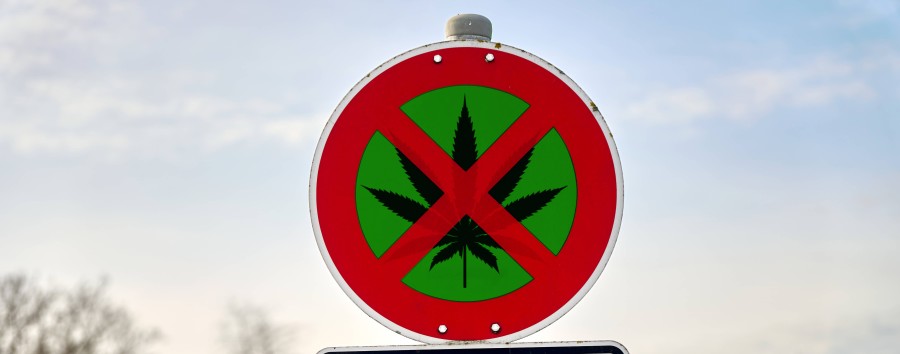 Mit Schnapsidee für Kifferschilder: Neuköllner CDU fordert Hinweisschilder auf Cannabis-Verbotszonen