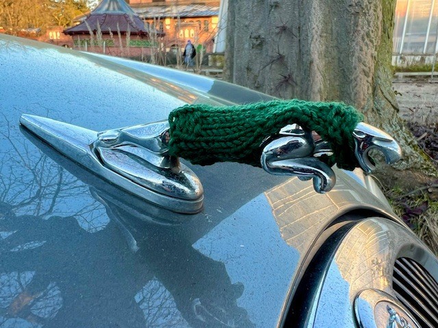 Top 3 Kiekste des Monats März: Martina Rohrbach