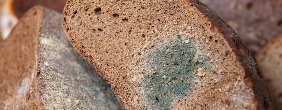 „In der Küche wird teilweise das Essen schlecht“