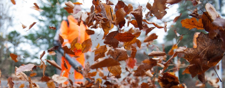 Lauter Start in den Herbst: BSR setzt mehr als 1000 Laubbläser gegen tonnenweise Laub ein