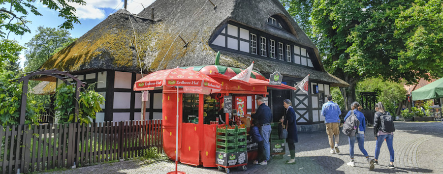 „Wie im Sommer“: Warum in Berlin noch Erdbeeren verkauft werden
