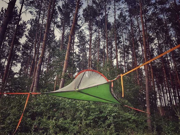 Schlummern zwischen Kiefern: Die Hanging Tents im Waldparadies Borkheide