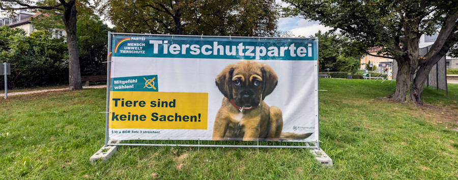 Das will der Berliner Bezirks-Newcomer „Die Tierschutzpartei“