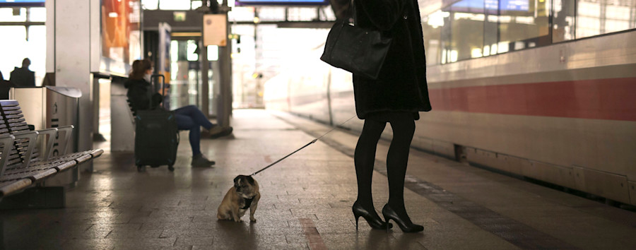 Wie man Bahntickets für Hunde löst